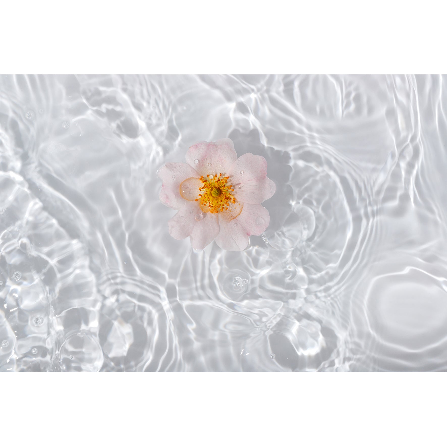 亮肌淨白爽膚水 Radiance Tonic Lotion
